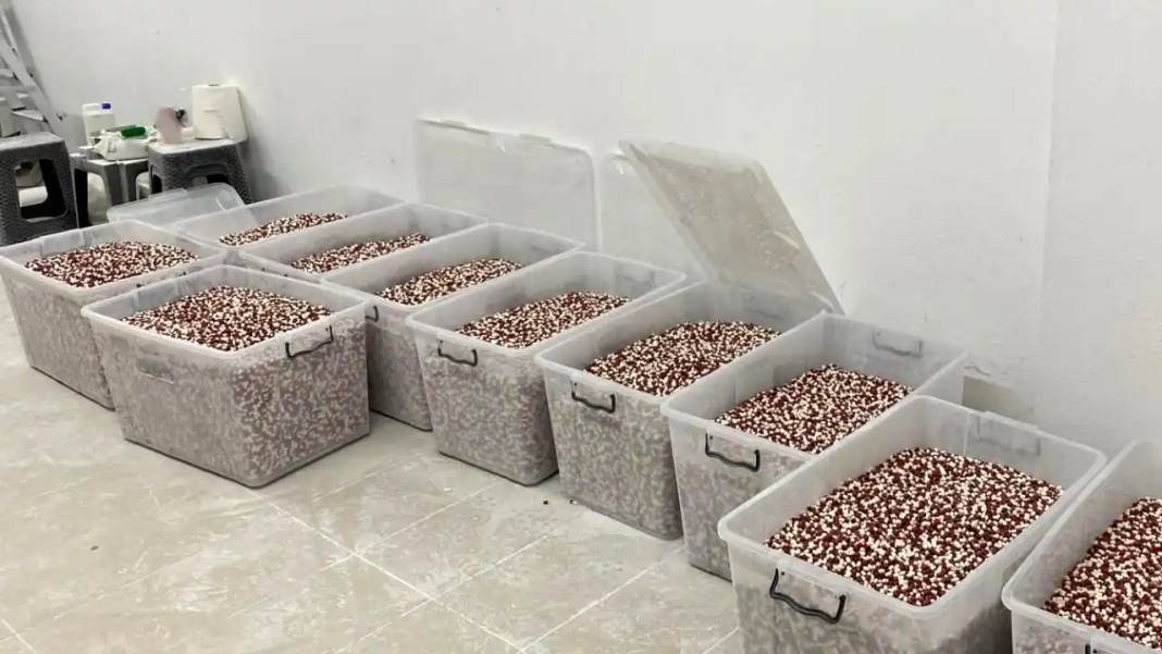 Bonzai Alarmı 2024’ün En Ölümcül Maddesi Oldu! 1